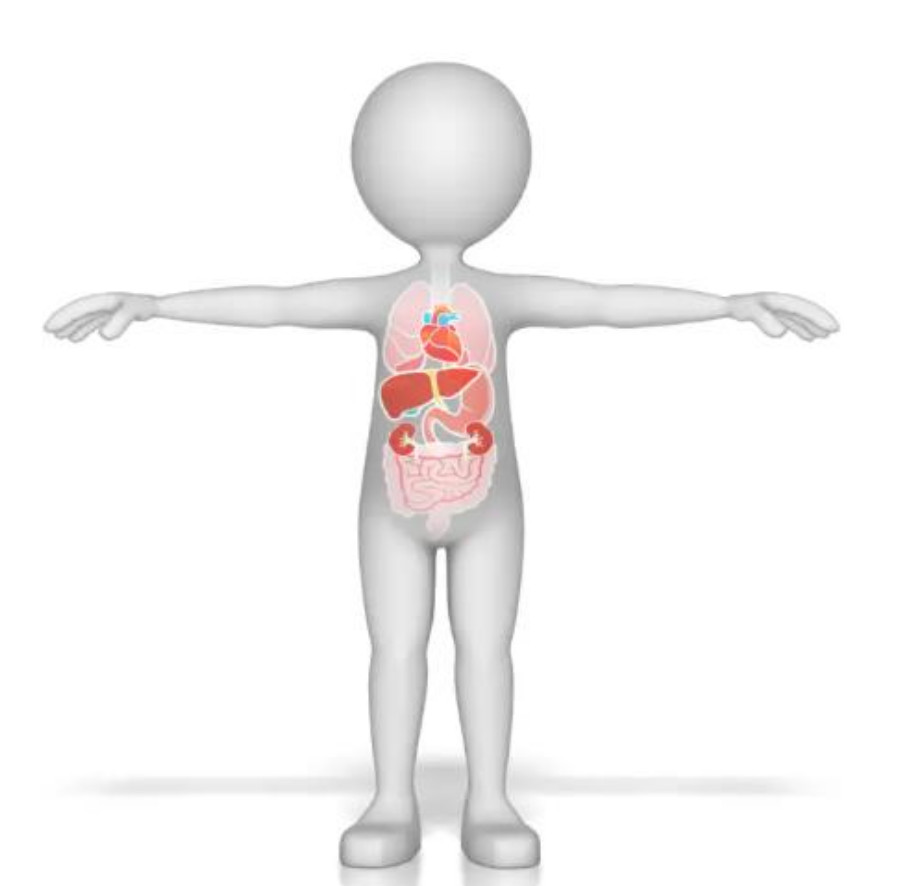 Εικόνα επιλογής